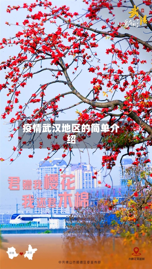 疫情武汉地区的简单介绍