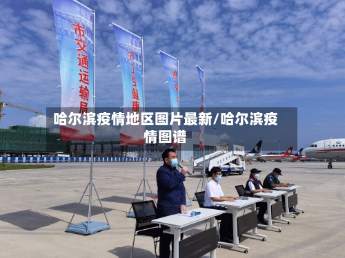 哈尔滨疫情地区图片最新/哈尔滨疫情图谱-第2张图片