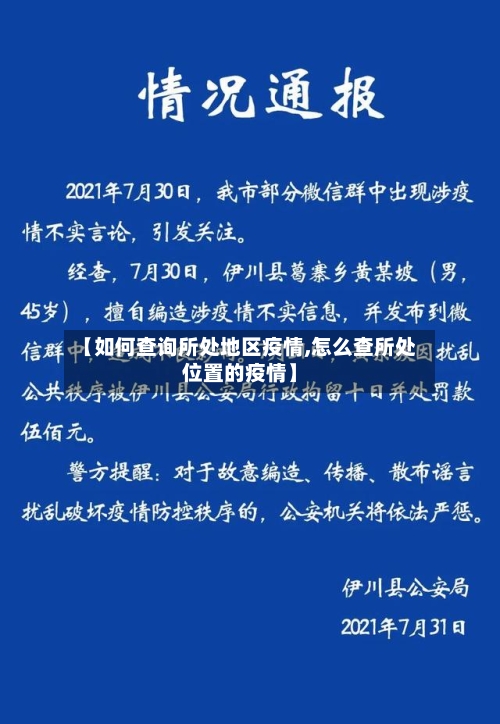 【如何查询所处地区疫情,怎么查所处位置的疫情】-第3张图片