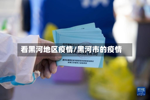 看黑河地区疫情/黑河市的疫情