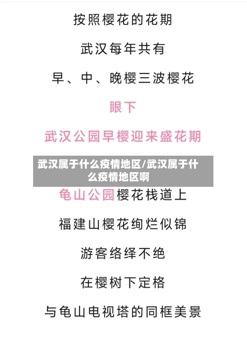 武汉属于什么疫情地区/武汉属于什么疫情地区啊