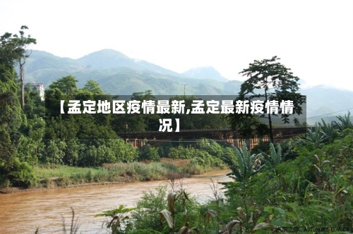 【孟定地区疫情最新,孟定最新疫情情况】-第3张图片