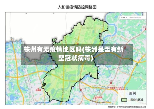 株州有无疫情地区吗(株洲是否有新型冠状病毒)-第3张图片