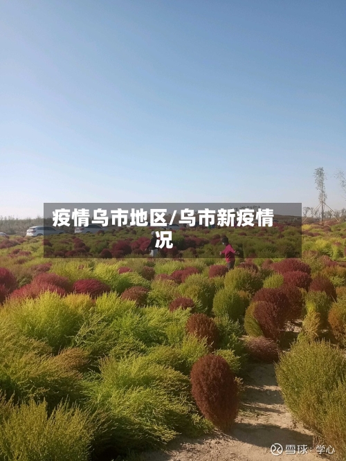疫情乌市地区/乌市新疫情况-第2张图片