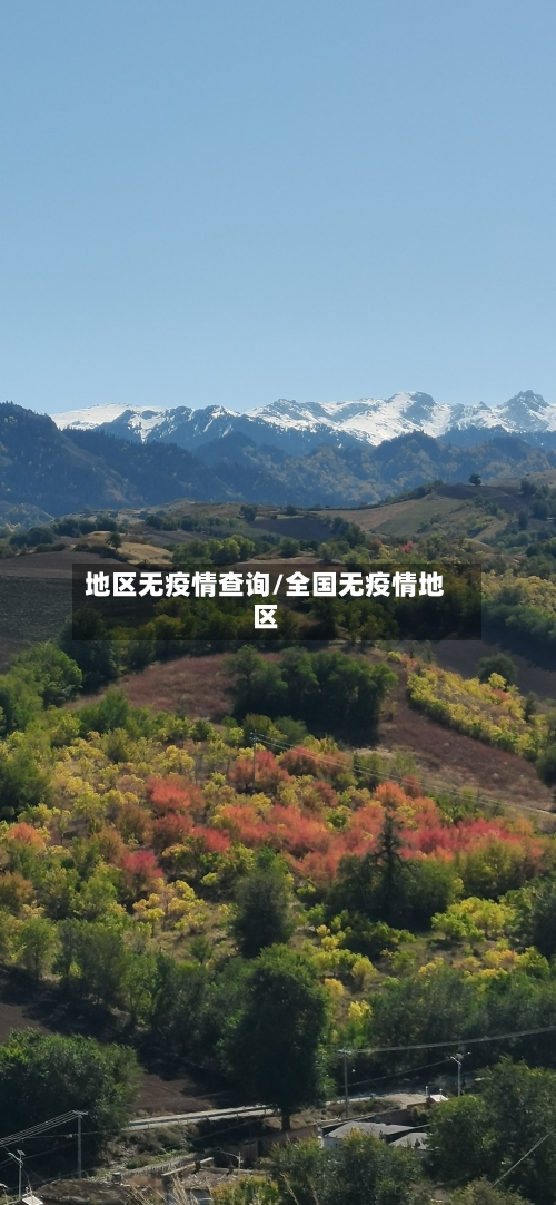 地区无疫情查询/全国无疫情地区