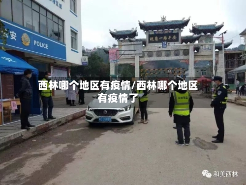 西林哪个地区有疫情/西林哪个地区有疫情了