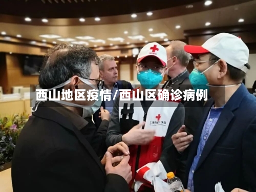 西山地区疫情/西山区确诊病例