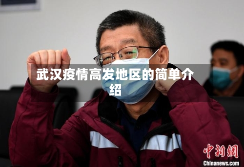 武汉疫情高发地区的简单介绍-第3张图片