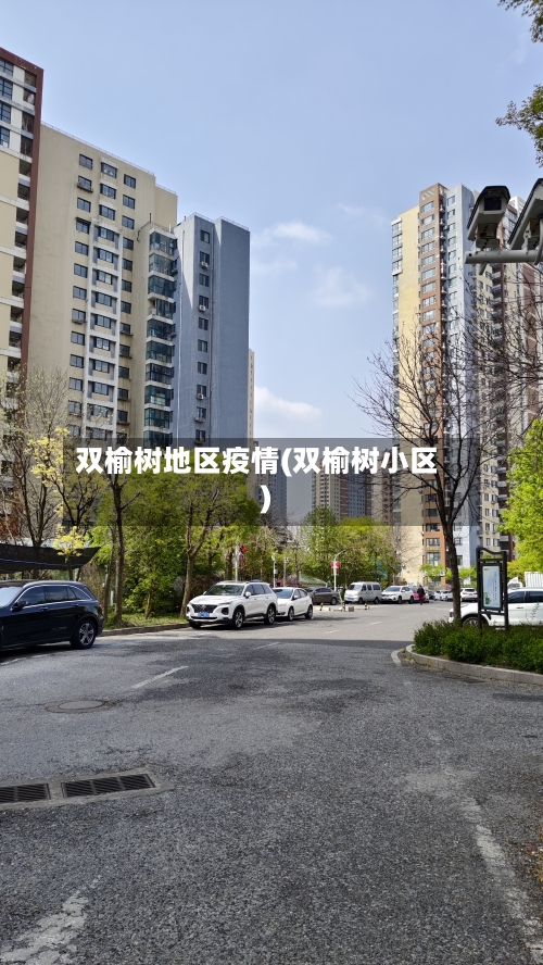 双榆树地区疫情(双榆树小区)