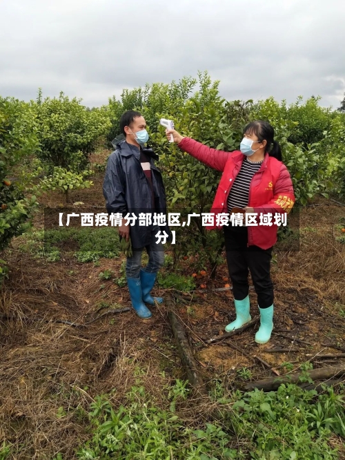 【广西疫情分部地区,广西疫情区域划分】-第2张图片