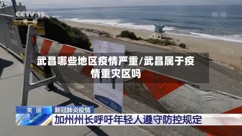 武昌哪些地区疫情严重/武昌属于疫情重灾区吗-第2张图片