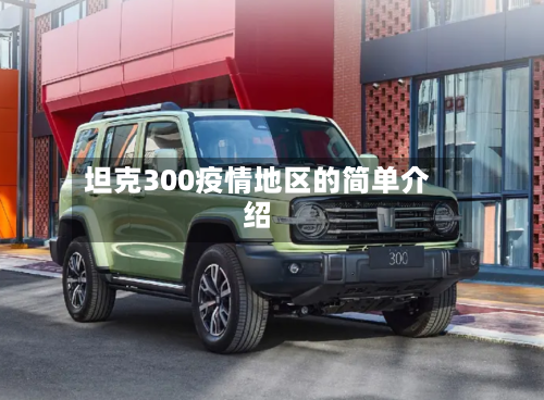 坦克300疫情地区的简单介绍-第2张图片