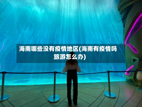 海南哪些没有疫情地区(海南有疫情吗旅游怎么办)
