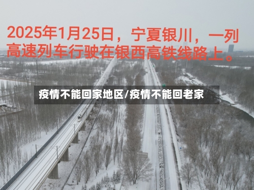 疫情不能回家地区/疫情不能回老家-第2张图片