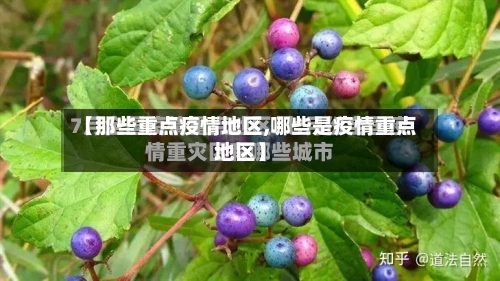 【那些重点疫情地区,哪些是疫情重点地区】-第3张图片