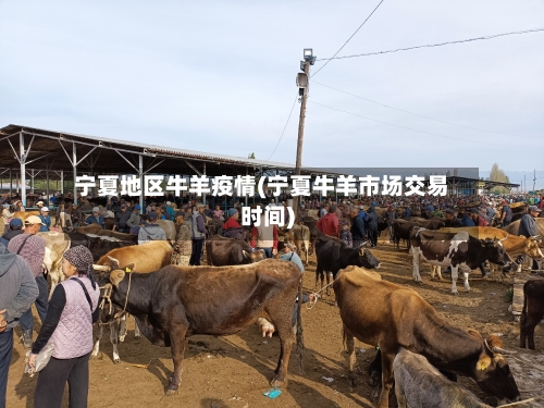 宁夏地区牛羊疫情(宁夏牛羊市场交易时间)