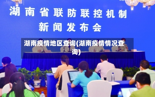 湖南疫情地区查询(湖南疫情情况查询)