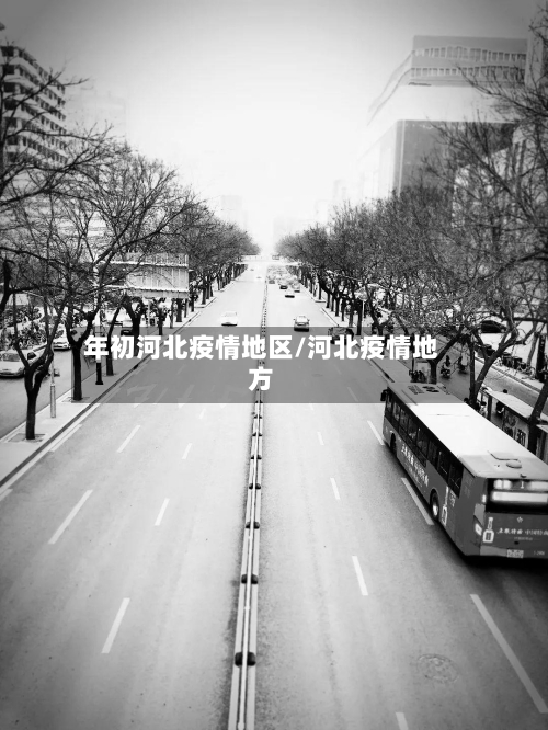 年初河北疫情地区/河北疫情地方-第2张图片