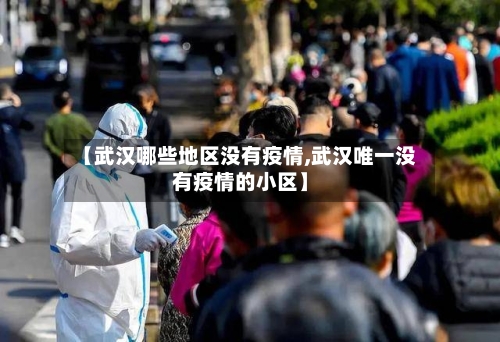【武汉哪些地区没有疫情,武汉唯一没有疫情的小区】-第2张图片