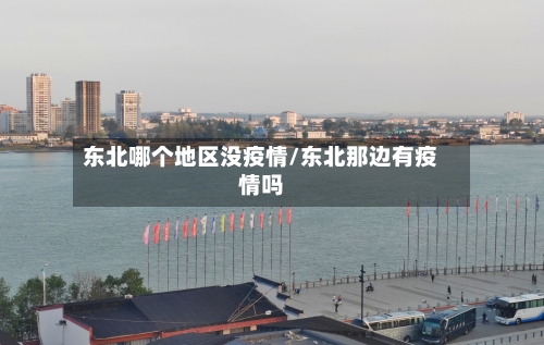 东北哪个地区没疫情/东北那边有疫情吗-第2张图片