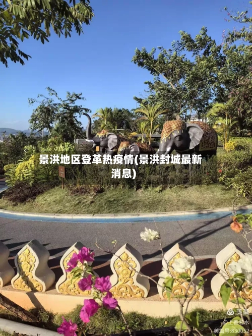 景洪地区登革热疫情(景洪封城最新消息)-第2张图片