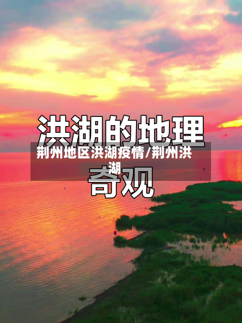 荆州地区洪湖疫情/荆州洪湖