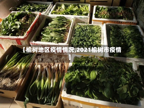 【榆树地区疫情情况,2021榆树市疫情】