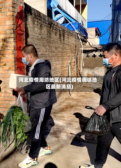 河北疫情廊坊地区(河北疫情廊坊地区最新消息)
