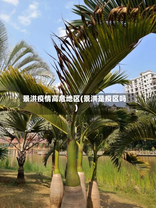 景洪疫情高危地区(景洪是疫区吗)-第3张图片