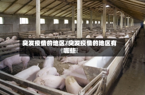 突发疫情的地区/突发疫情的地区有哪些-第2张图片