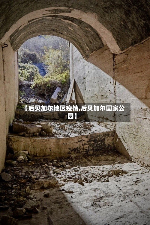 【后贝加尔地区疫情,后贝加尔国家公园】-第3张图片