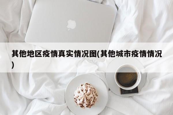 其他地区疫情真实情况图(其他城市疫情情况)